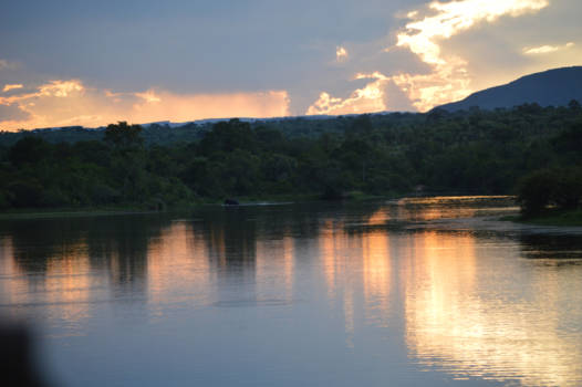 Krugerpark - zonsondergang in het park
