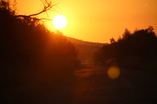 Pilanesberg National Park - Zon opkomst.