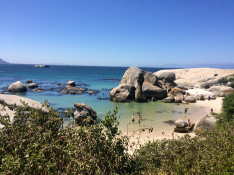 Boulders Beach - Bij de pinguïns in Boulders Beach