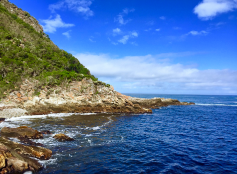 Kaapstad - National park-SouthAfrica