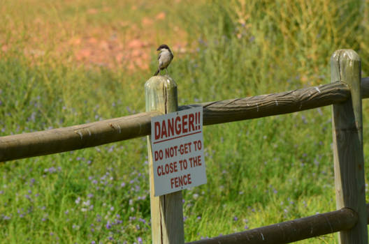 Rondreis Zuid-Afrika in drie weken - Hoezo???