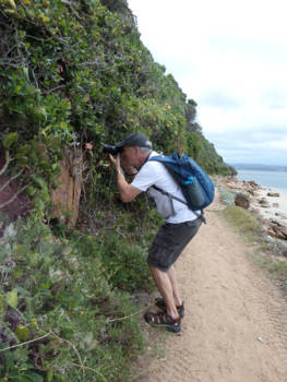 Rondreis Zuid-Afrika in drie weken - Iemand moet de foto's maken toch?