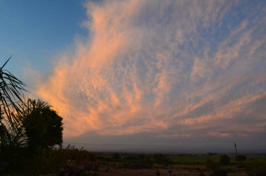 Rondreis Zuid-Afrika in drie weken - we hebben genoten!