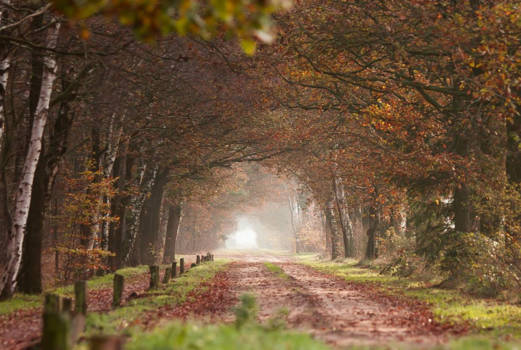 Rondreis Zuid-Afrika in drie weken - Open einde