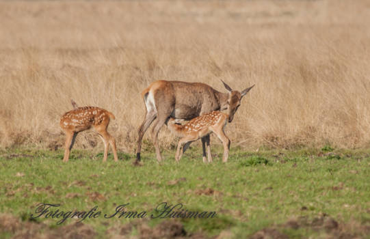 Rondreis van Johannesburg naar Kaapstad - Drinktijd
