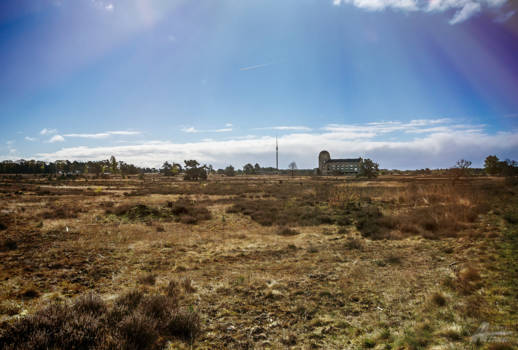 Krugerpark - Natuur Kootwijk
