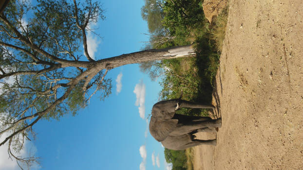 Rondreis Zuid-Afrika in twee weken - Mooie ervaring!