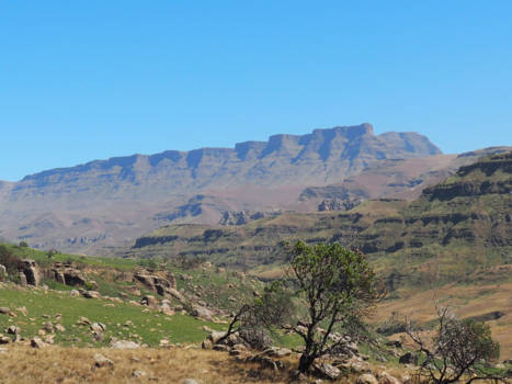 Rondreis Zuid-Afrika in twee weken - "De twaalf apostelen" Drakensbergen