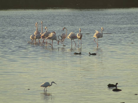 Kaapstad - Aan de voet van de Tafelberg