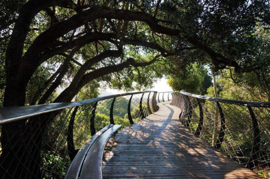 West-Kaap - Kirstenbosch Magical Botanical Gardens