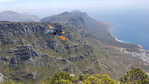 Tafelberg - Uitzicht tafelberg