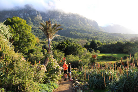 Rondreis Zuid-Afrika in twee weken - Heerlijk die Botanische tuin van Kirstenbosch