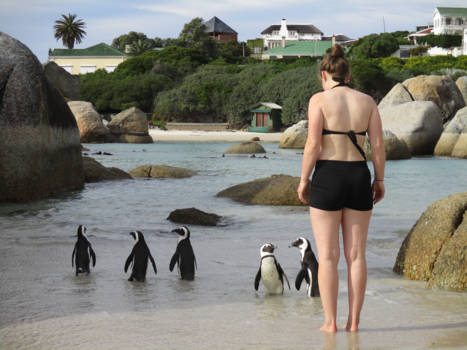 Kaapstad - Boulders Beach, lekker zwemmen met de pinguïns!
