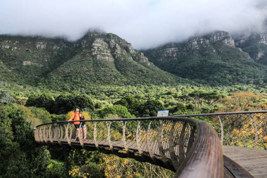 Kaapstad - Botanische tuin van Kirstenbosch