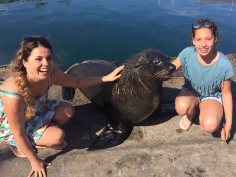 Rondreis Zuid-Afrika in twee weken
