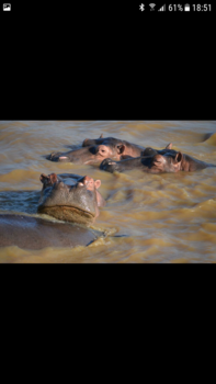 Rondreis Zuid-Afrika in twee weken - St. Lucia