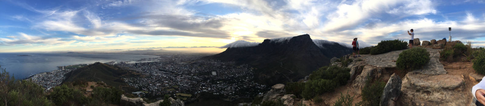Table Mountain National Park - Lion's head x table mountain