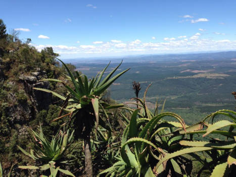 Rondreis Zuid-Afrika in drie weken - God's Window