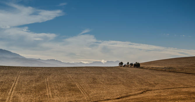 Rondreis Zuid-Afrika in drie weken - Eenvoudige schoonheid