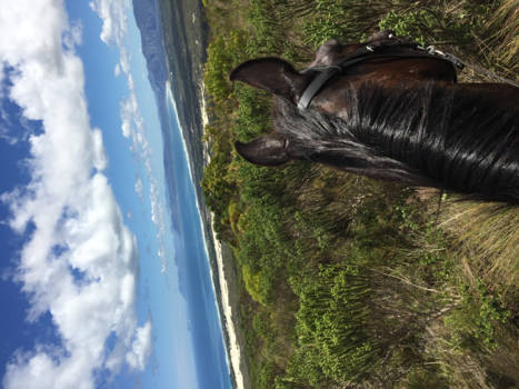 Sabi Sand Game Reserve - How to get the best view..