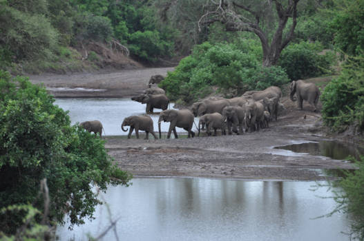 Rondreis Zuid-Afrika in drie weken - Jippie eindelijk wat te drinken