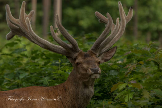 Rondreis Zuid-Afrika in drie weken - Op pad