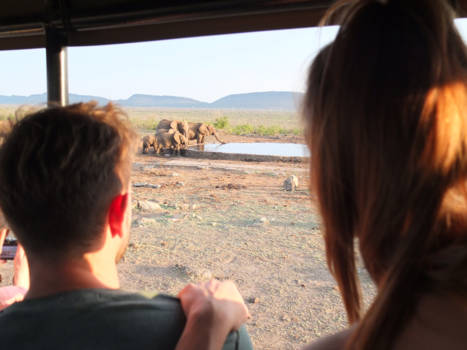 Madikwe Game Reserve - EXPLORE - DREAM - TRAVEL