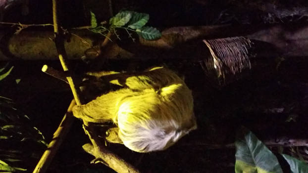 Rondreis Zuid-Afrika in drie weken - Relaxen als een luiaard