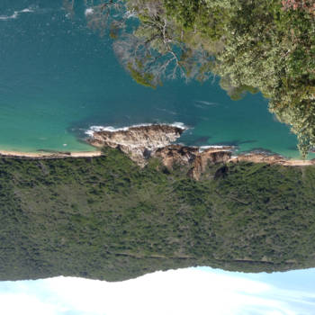 Rondreis Zuid-Afrika in drie weken - Het tsitsikammapark,ongelooflijk mool ,prchtige natuur.