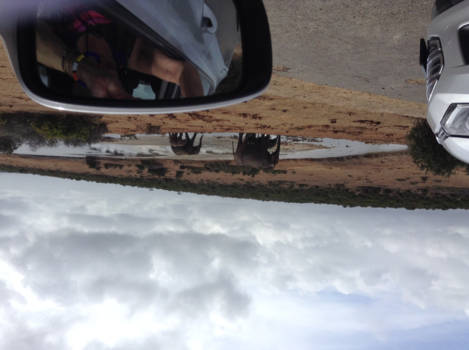 Rondreis Zuid-Afrika in twee weken - Olifanten in Pilanesberg ,een ongeloofijk mooi park.