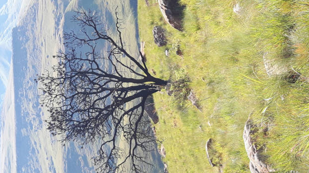 Rondreis van Johannesburg naar Kaapstad - De Eenvoud