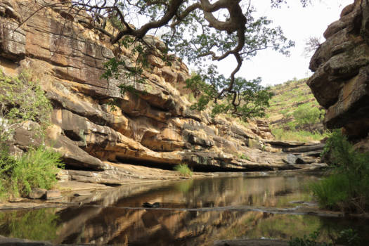 Limpopo - Rhenosterkloof