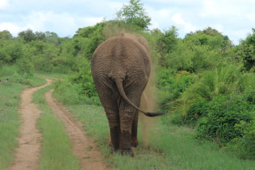 Rondreis van Johannesburg naar Kaapstad - kontje