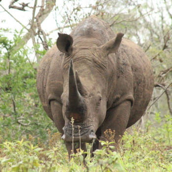 Rondreis van Johannesburg naar Kaapstad - Smile