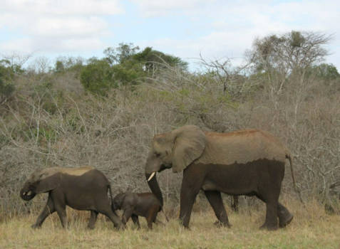 Rondreis van Johannesburg naar Kaapstad - Kolonel Hatie's mars in real life!