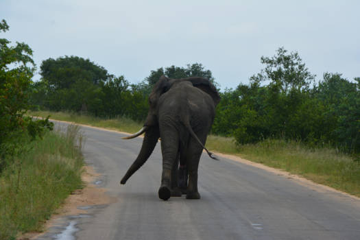 Rondreis van Johannesburg naar Kaapstad