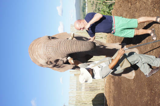 Rondreis Zuid-Afrika in drie weken - De olifant met de gids en fan Ronny kon een snoepje geven...oef..