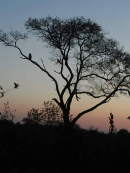 Rondreis Zuid-Afrika in drie weken - Zonsondergang