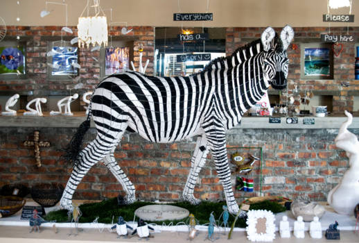 Chapman's Peak Drive - Zebra spotted in Hermanus