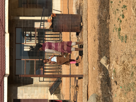 Rondreis Zuid-Afrika in twee weken - Winter in Afrika