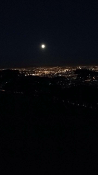 Boulders Beach - The lights of cape town