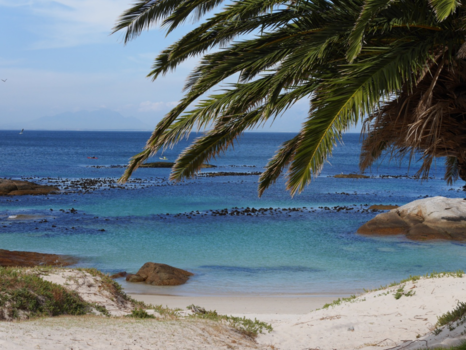 Boulders Beach - Ultiem zomer-droomplaatje