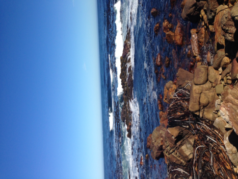 Kaap de Goede Hoop - peaceful cape point