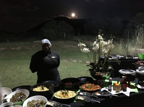 Pilanesberg National Park - Black beauty