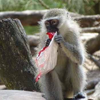 Rondreis van Johannesburg naar Kaapstad - Recycling