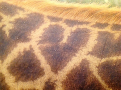 Rondreis van Johannesburg naar Kaapstad - Houden van Zuid Afrika❤️❤️❤️❤️❤️