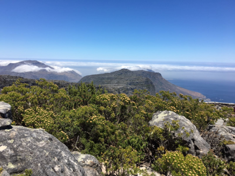 Rondreis Zuid-Afrika in twee weken - Een droom kwam uit ..uitzicht tafelberg..wat een prachtige reis !