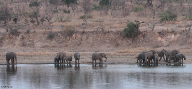 Rondreis van Johannesburg naar Kaapstad - Big family