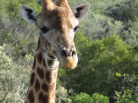 Rondreis van Johannesburg naar Kaapstad - Jeepsafari zuid afrika. Most beautifal nature ever seen