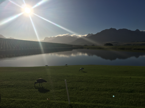 Stellenbosch - Taste of the good life